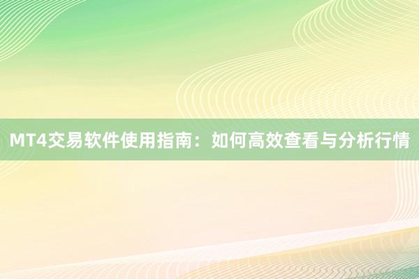 MT4交易软件使用指南：如何高效查看与分析行情